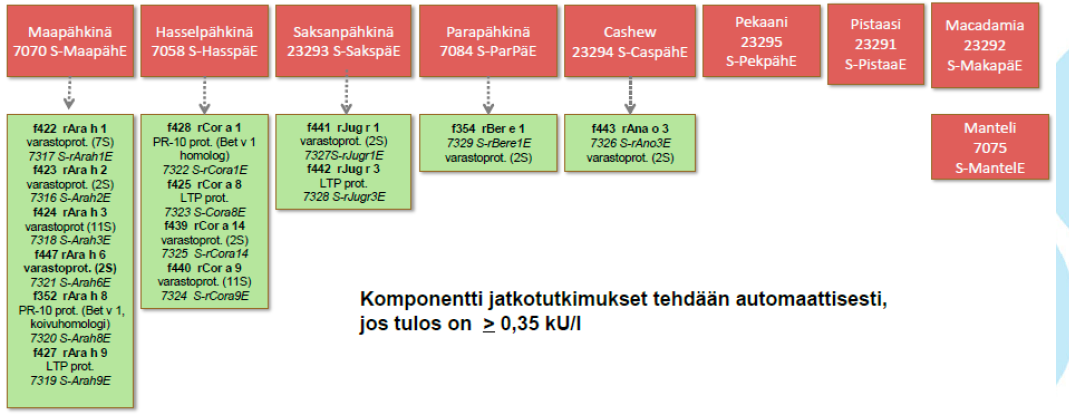 Tutkimuksen 23303 S -PhComE tutkimusrakenne